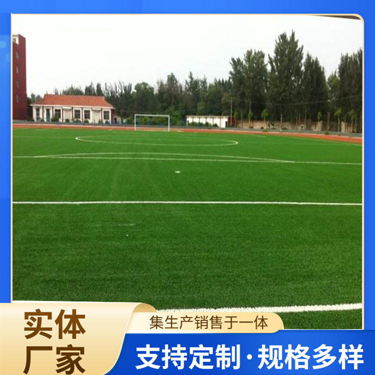 淮北市学校塑胶跑道人造草坪 - 推荐